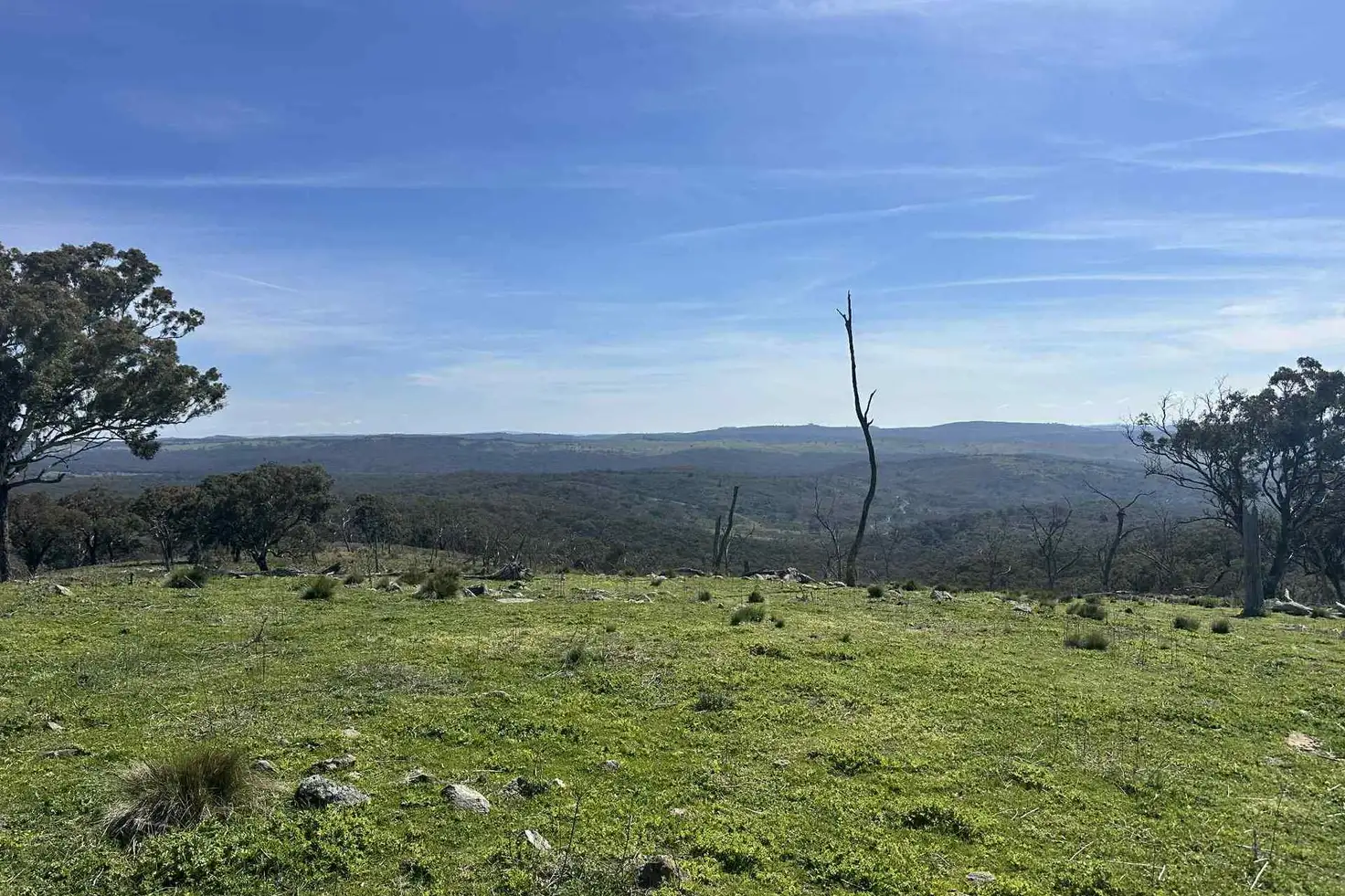 Main view of Homely rural property listing, LOT 123, 2319 Hill End Road, Mudgee NSW 2850