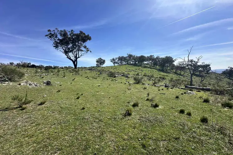 Fourth view of Homely rural property listing, LOT 123, 2319 Hill End Road, Mudgee NSW 2850