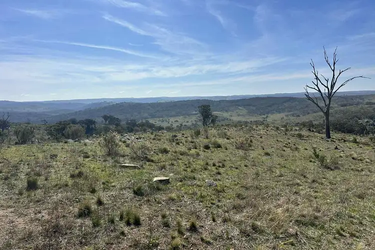 Fifth view of Homely rural property listing, LOT 123, 2319 Hill End Road, Mudgee NSW 2850