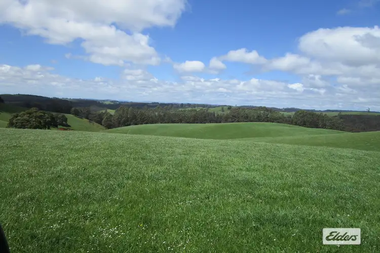 Fifth view of Homely rural property listing, 65 Preston-Castra Road, Preston TAS 7315