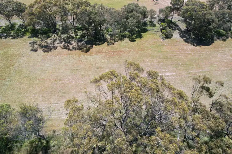 Third view of Homely land listing, LOT 17 Forrest Hill Road, Katanning WA 6317