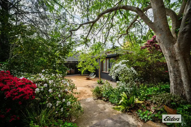 Third view of Homely house listing, 134 Yackandandah Road, Yackandandah VIC 3749