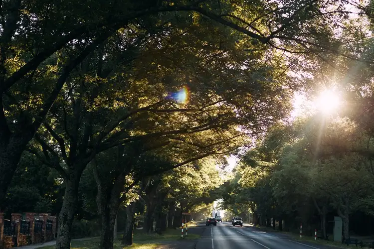 Seventh view of Homely land listing, 2 Armistice Way, Daylesford VIC 3460