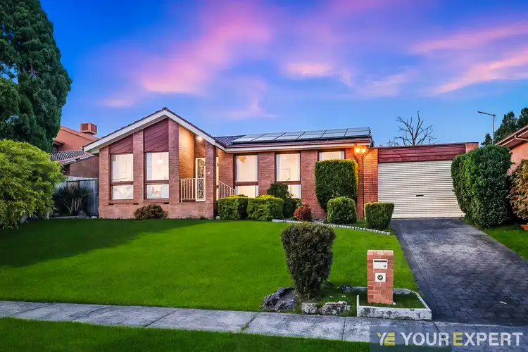 Third view of Homely house listing, 6 Nareen Avenue, Endeavour Hills VIC 3802