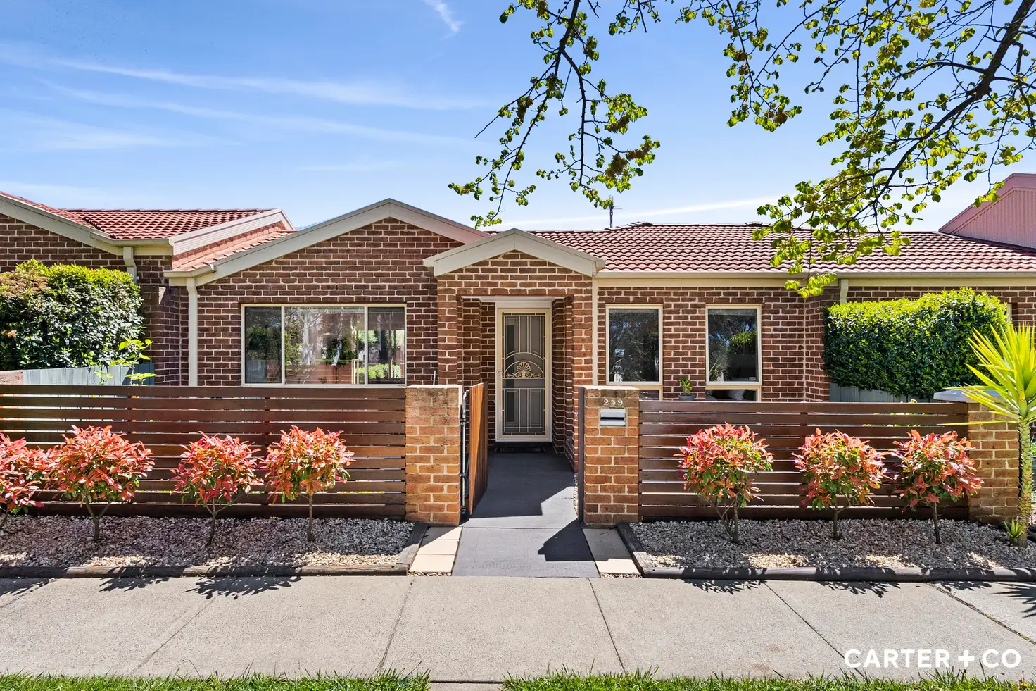Main view of Homely house listing, 259 Anthony Rolf Avenue, Gungahlin ACT 2912
