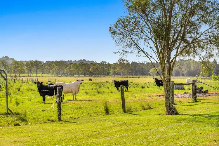 Third view of Homely house listing, 365 Boatharbour Road, Boat Harbour NSW 2480