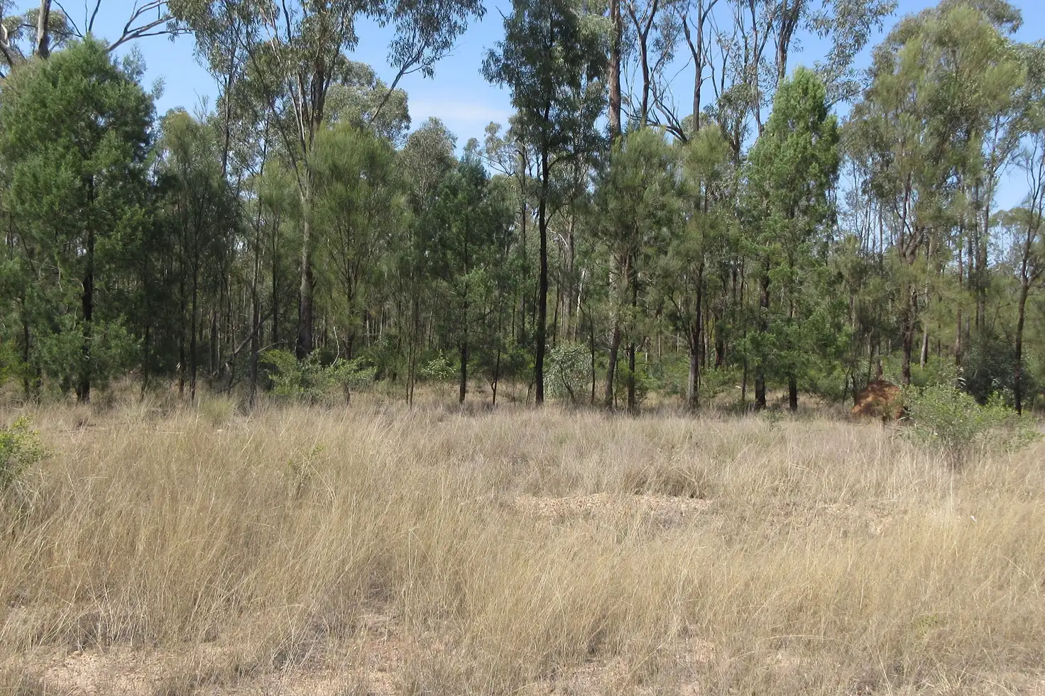 Main view of Homely rural property listing, Lot 6 Cartens Lane, Tara QLD 4421