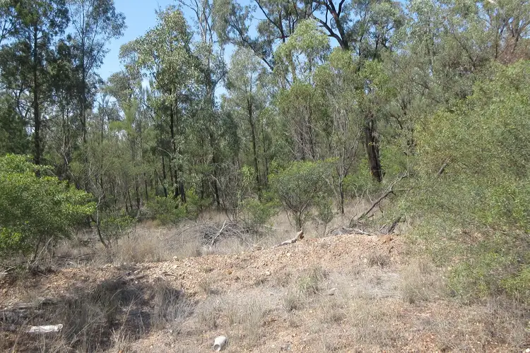 Third view of Homely rural property listing, Lot 6 Cartens Lane, Tara QLD 4421