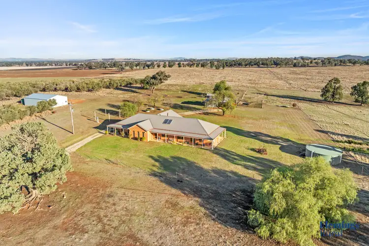 Main view of Homely rural property listing, 1010 Dinga Dingi Road, Stockinbingal NSW 2725