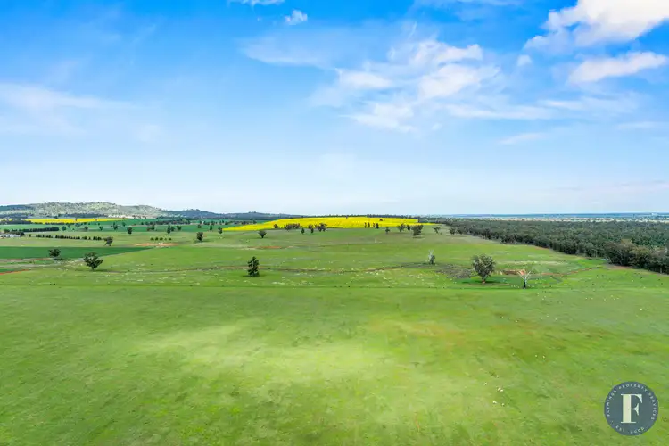 893 Deaths Lane, Pullabooka NSW 2810