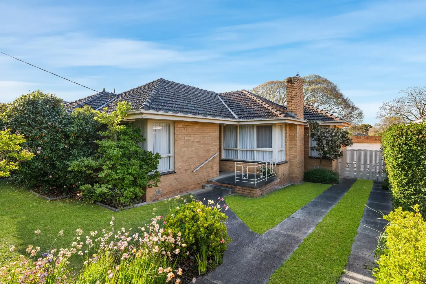 Main view of Homely house listing, 155 Woodhouse Grove, Box Hill North VIC 3129