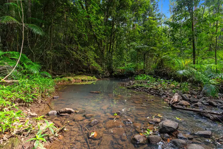 Fifth view of Homely rural property listing, 617 River Road, Wootha QLD 4552