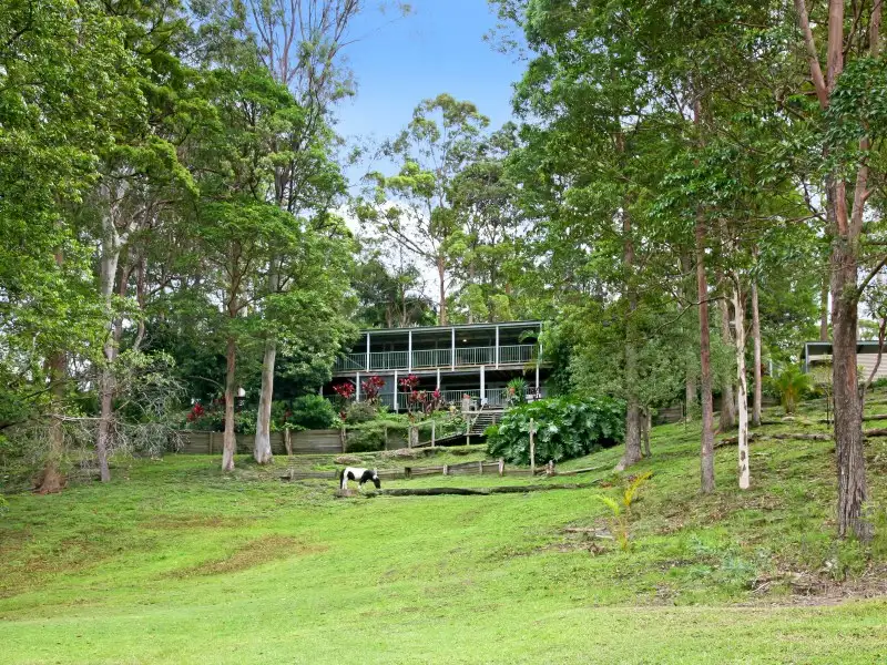 Main view of Homely house listing, 56 Lara Drive, Buderim QLD 4556