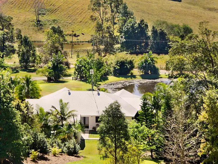 Third view of Homely house listing, 53 Macdonald Road, Palmwoods QLD 4555