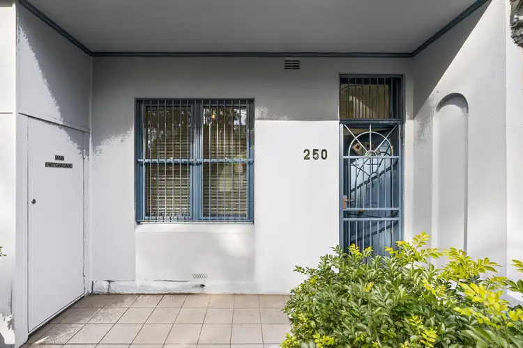 1/250 Bridge Road, Forest Lodge NSW 2037