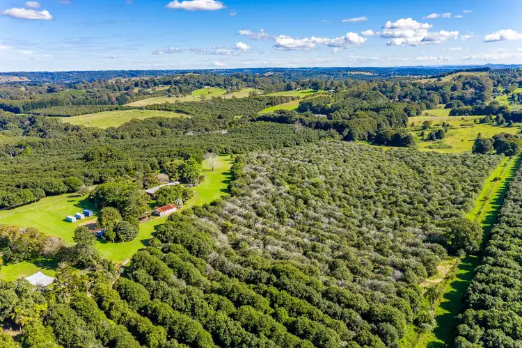 Second view of Homely rural property listing, 311 Friday Hut Road, Brooklet NSW 2479