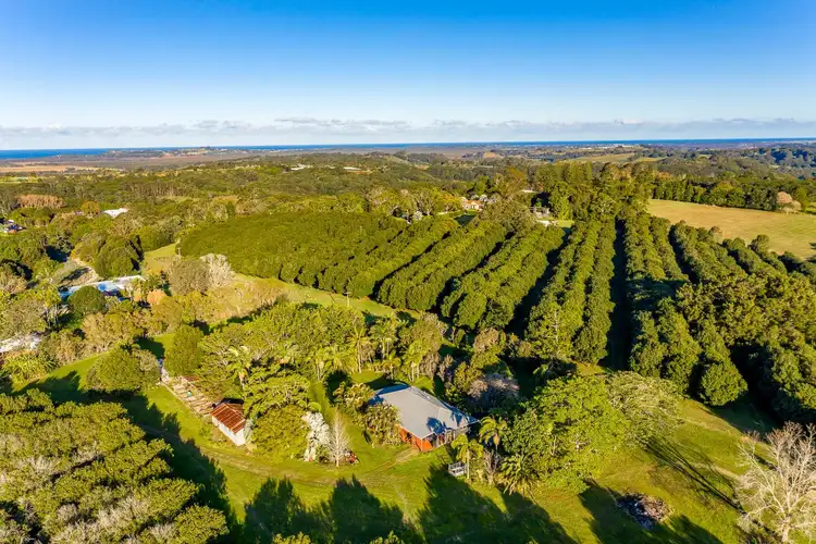 Third view of Homely rural property listing, 311 Friday Hut Road, Brooklet NSW 2479