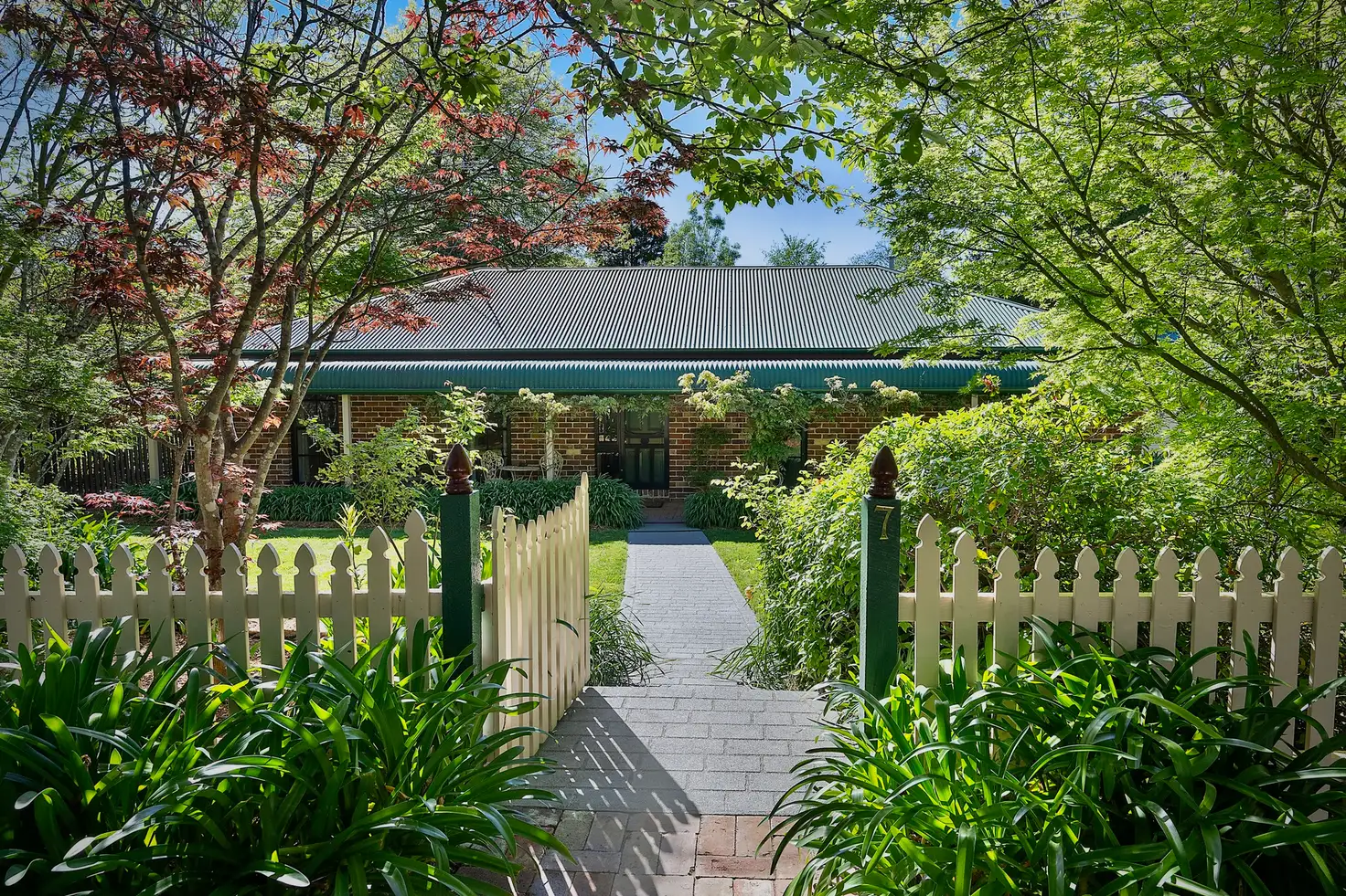 Main view of Homely house listing, 7 David Street, Wentworth Falls NSW 2782