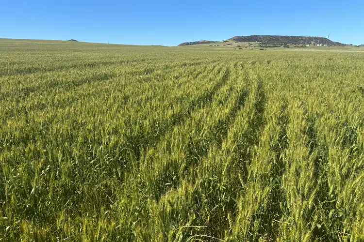Main view of Homely rural property listing, Lot 1914 Minnenooka Road, Minnenooka WA 6532