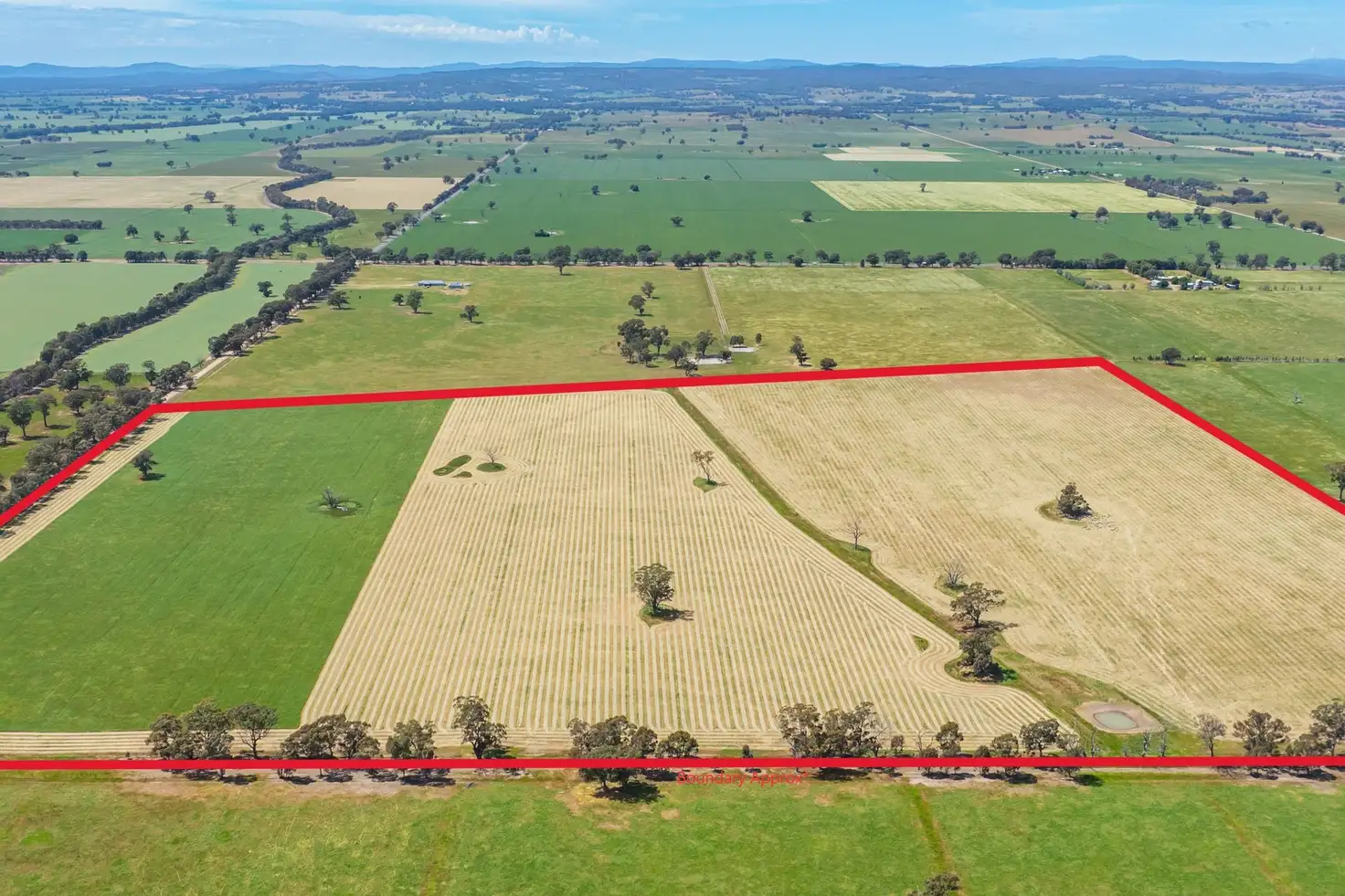Main view of Homely rural property listing, Lot 1 Boorhaman-Springhurst Road, Springhurst VIC 3682