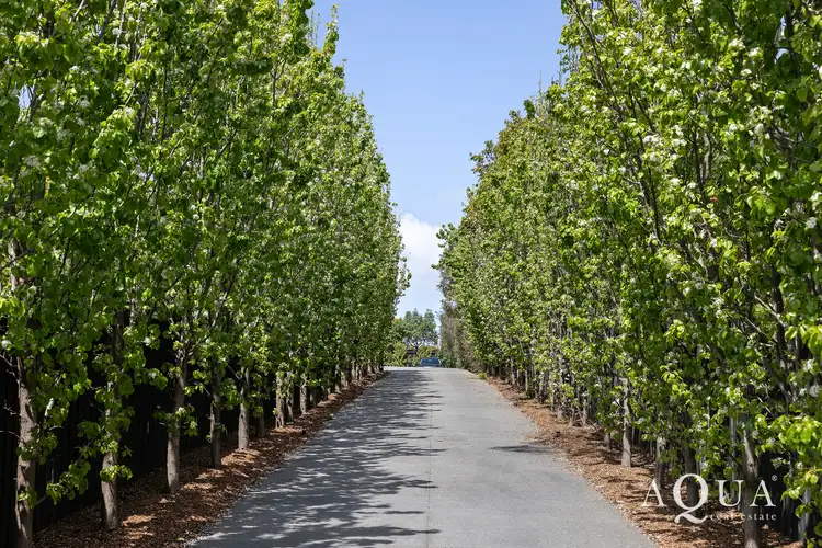 Second view of Homely house listing, 105A Baden Powell Drive, Mount Eliza VIC 3930