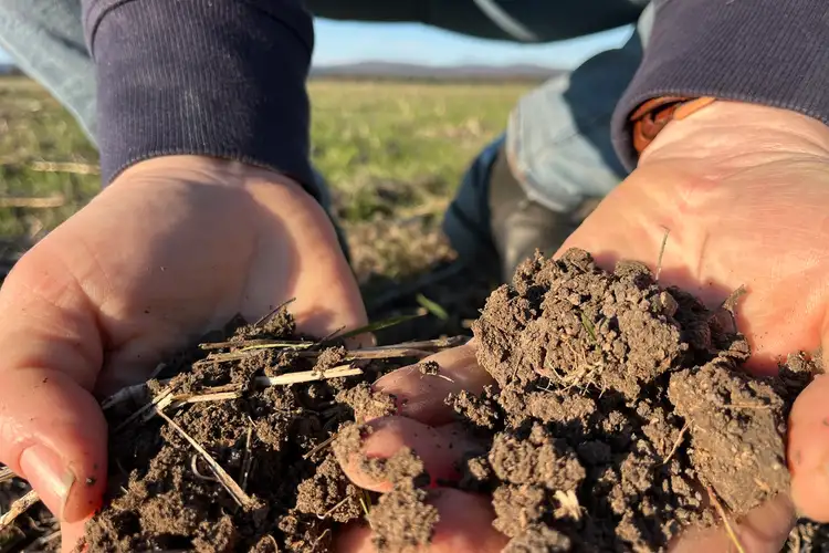 Second view of Homely rural property listing, 1745 Bimbi Caragabal Road, Bimbi NSW 2810