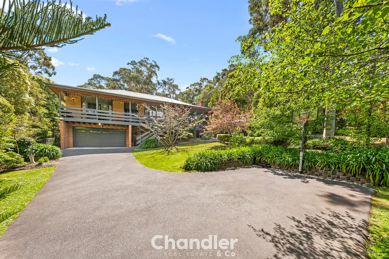 Main view of Homely house listing, 81 Forest Park Road, Upwey VIC 3158