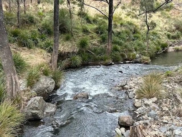Main view of Homely rural property listing, 1715 Kangaroo Flat Road, Yarrowitch NSW 2354