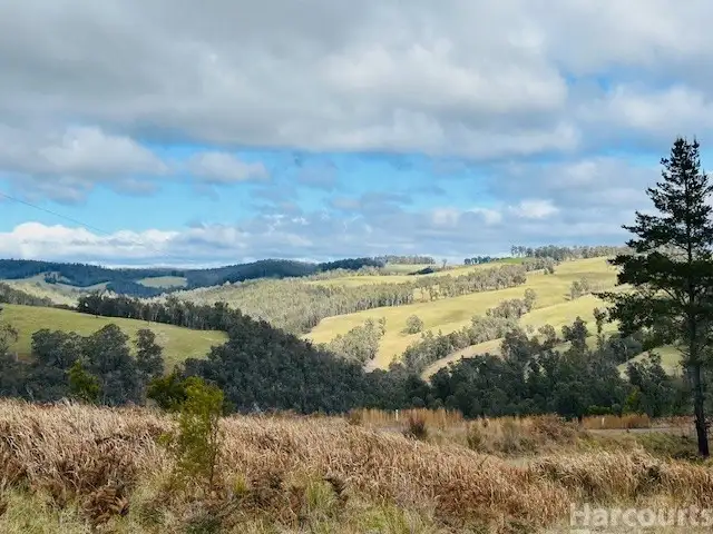 Fourth view of Homely rural property listing, 1715 Kangaroo Flat Road, Yarrowitch NSW 2354