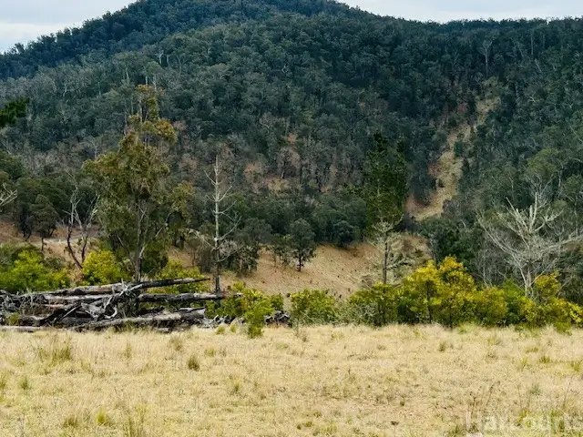 Fifth view of Homely rural property listing, 1715 Kangaroo Flat Road, Yarrowitch NSW 2354