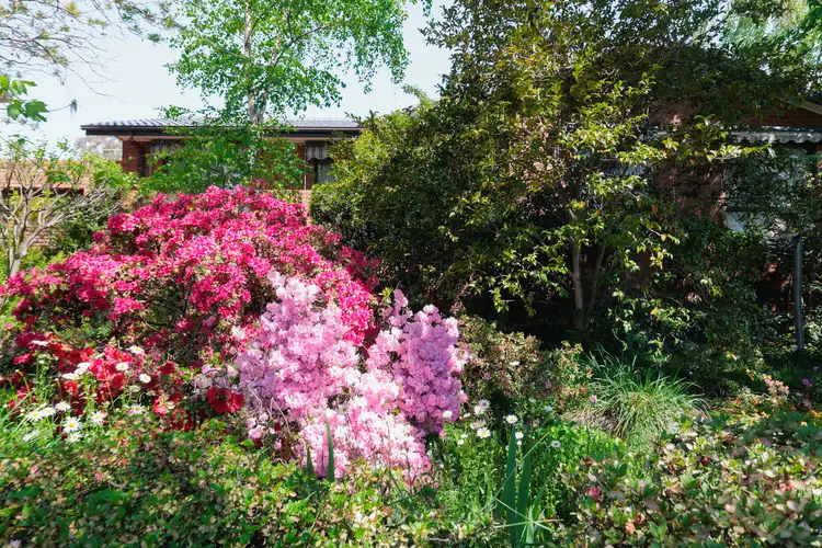 Second view of Homely house listing, 32 Tillyard Drive, Flynn ACT 2615