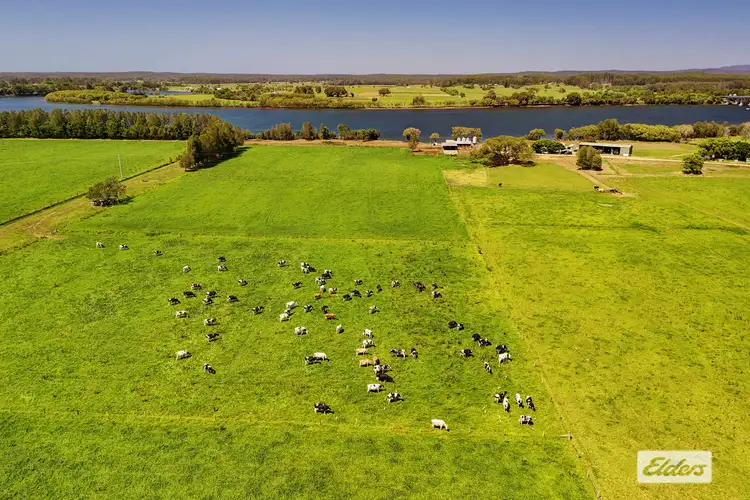 Fourth view of Homely rural property listing, 282 Newtons Road, Dumaresq Island NSW 2430