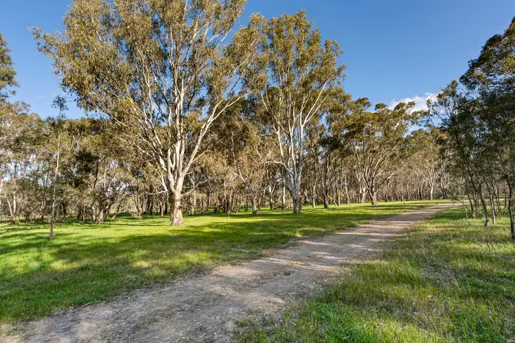 Fifth view of Homely rural property listing, 290 Riggs Creek Road, Balmattum via, Euroa VIC 3666