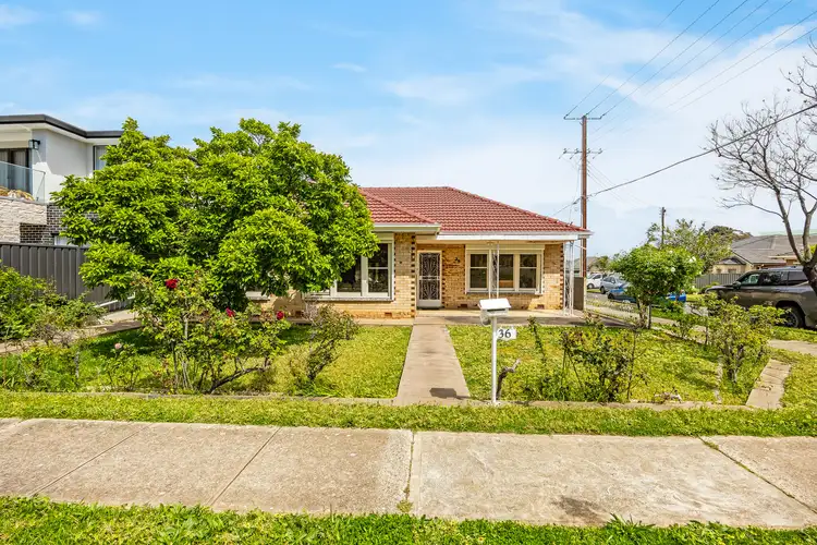 36 Meadow Avenue, Campbelltown SA 5074