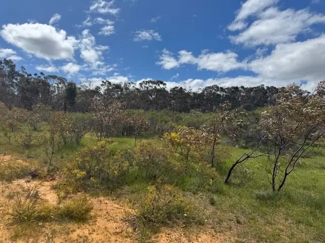 Second view of Homely rural property listing, Lot 30 Wheelhouse Road, Wehla VIC 3518