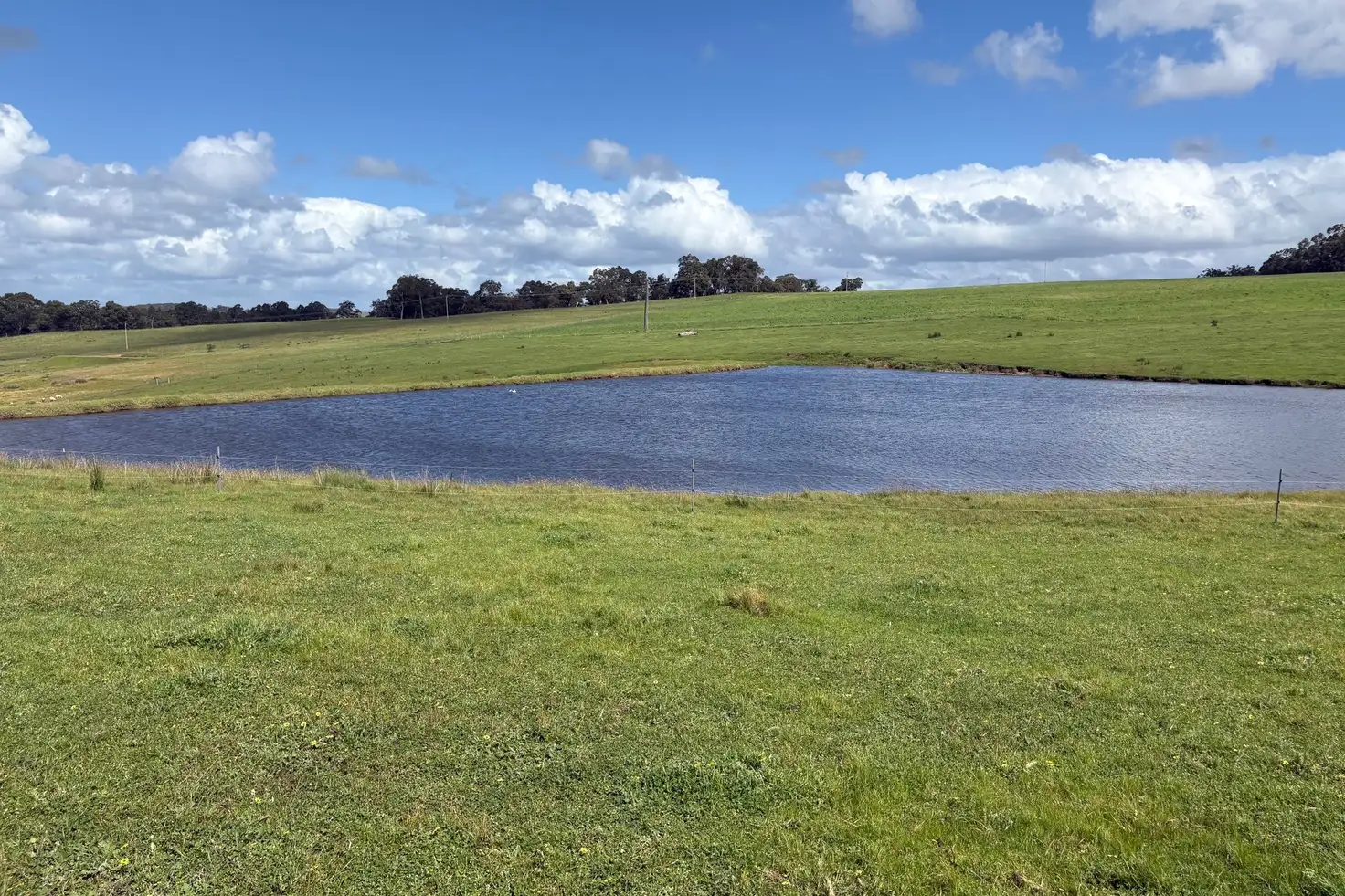 Main view of Homely rural property listing, Lot 72 Beelerup Road, Beelerup WA 6239