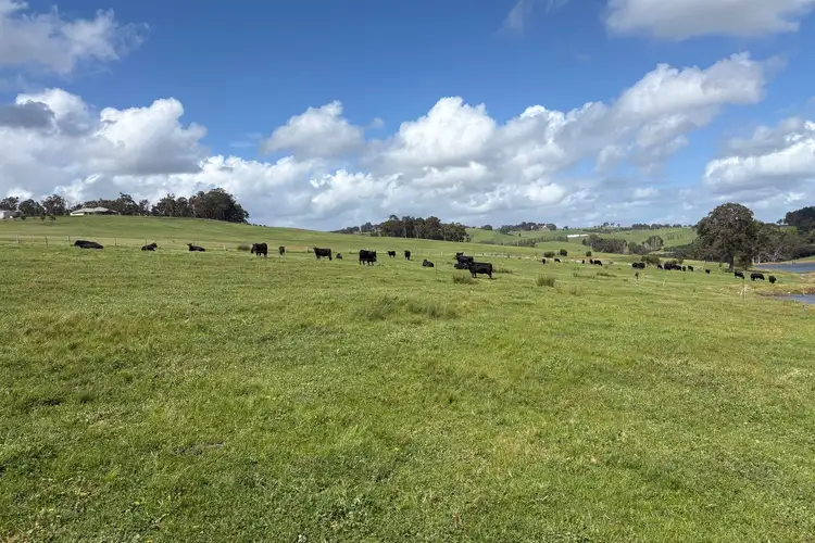 Third view of Homely rural property listing, Lot 72 Beelerup Road, Beelerup WA 6239