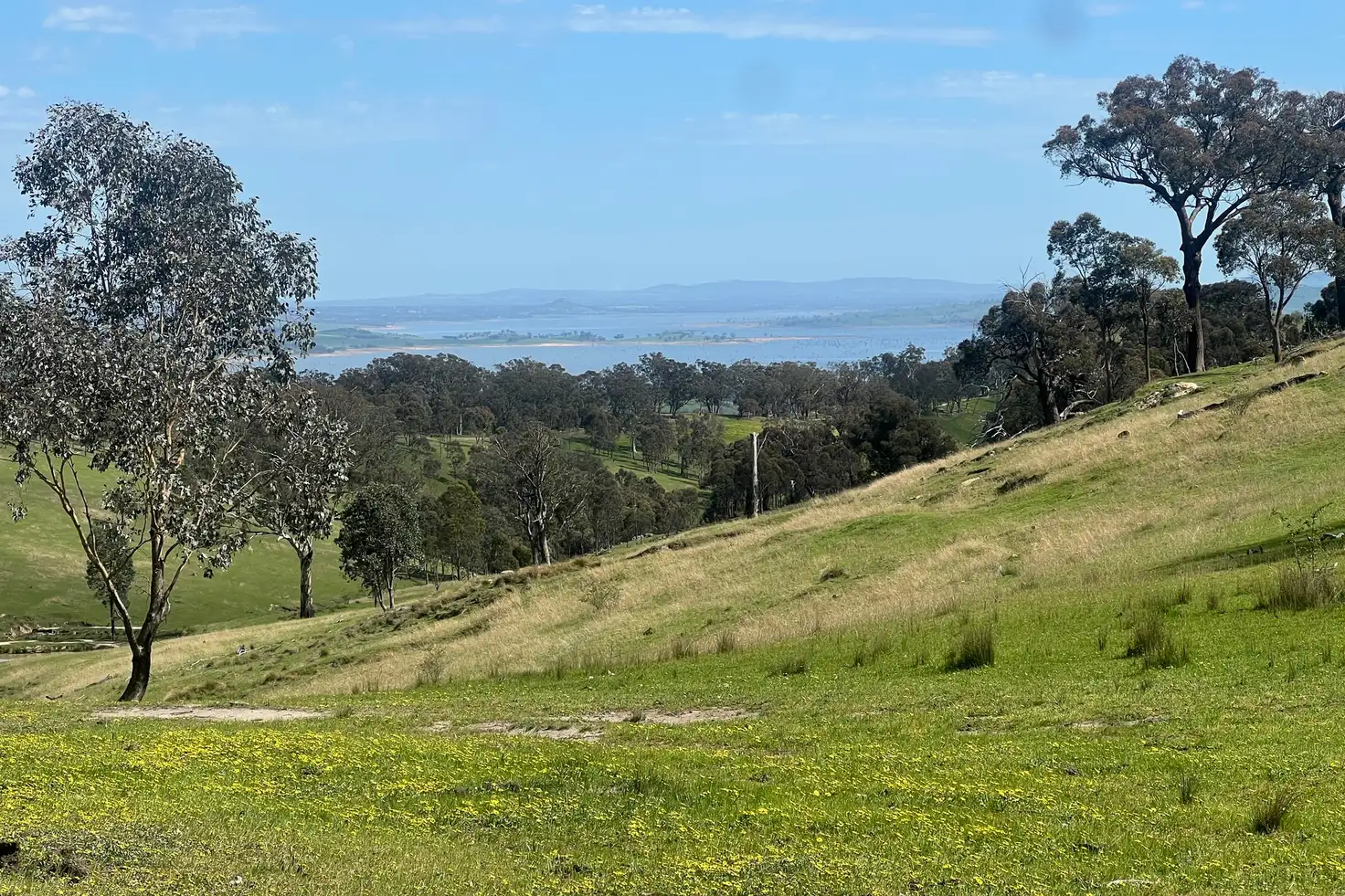 Main view of Homely rural property listing, 557 Georges Creek Road, Talgarno VIC 3691
