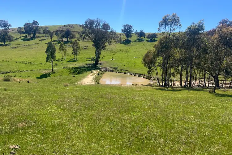 Third view of Homely rural property listing, 557 Georges Creek Road, Talgarno VIC 3691