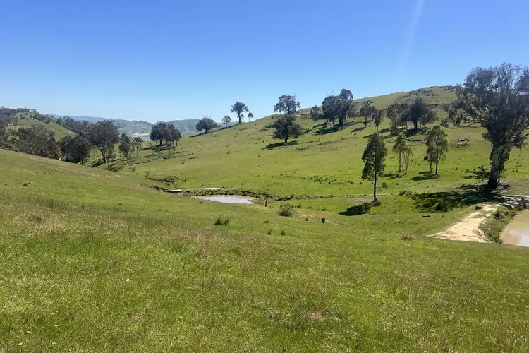 Fourth view of Homely rural property listing, 557 Georges Creek Road, Talgarno VIC 3691
