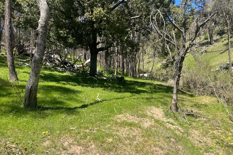 Sixth view of Homely rural property listing, 557 Georges Creek Road, Talgarno VIC 3691