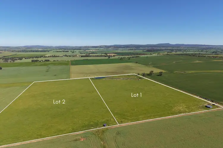 Level 1&2 Tilga Street, Canowindra NSW 2804
