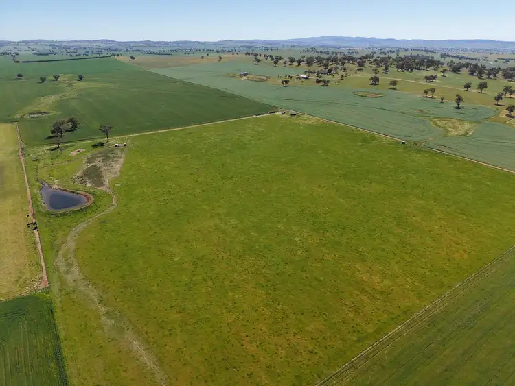 Fifth view of Homely rural property listing, 1&2 Tilga Street, Canowindra NSW 2804