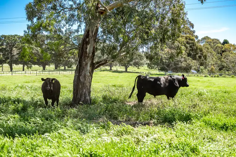 Fourth view of Homely rural property listing, 22 Memory Grove, Lower Inman Valley SA 5211