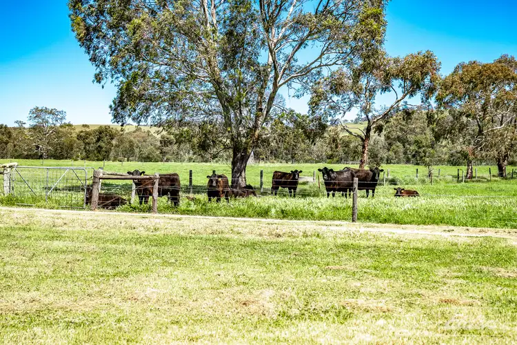 Fifth view of Homely rural property listing, 22 Memory Grove, Lower Inman Valley SA 5211