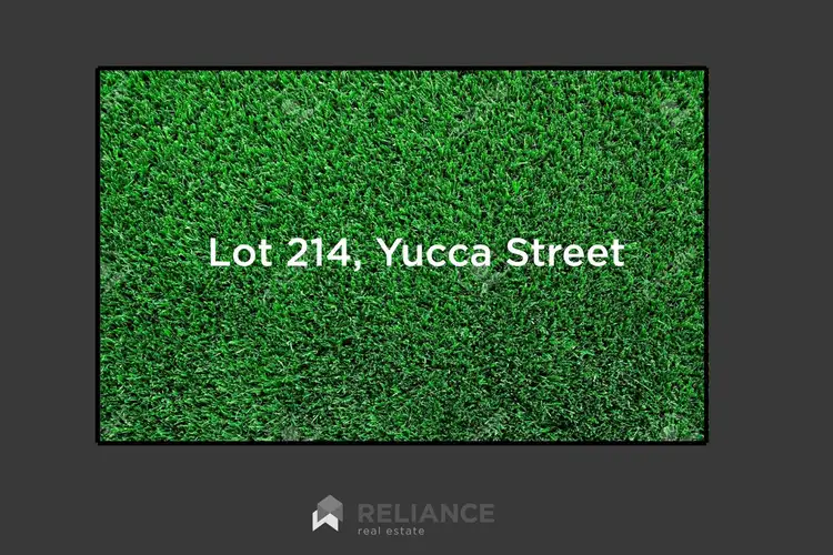 Yucca Street