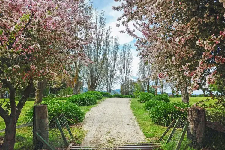 Third view of Homely rural property listing, 277 McLeans Lane, Ruffy VIC 3666