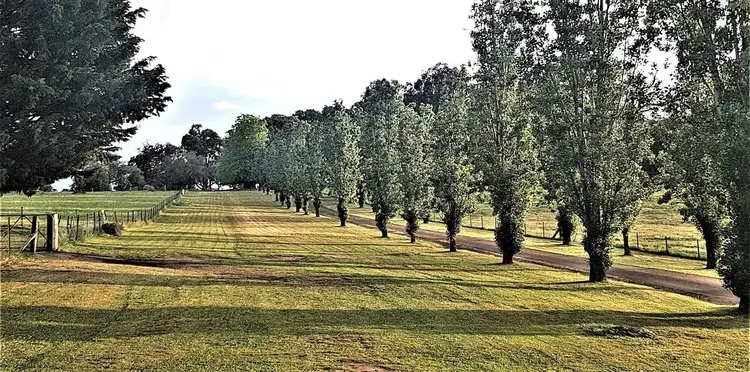 Fifth view of Homely rural property listing, 277 McLeans Lane, Ruffy VIC 3666