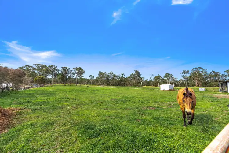 Sixth view of Homely house listing, 54 St Johns Road, Warnervale NSW 2259