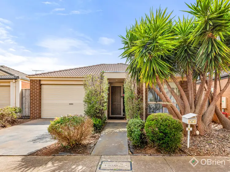 16 Mariposa Way, Tarneit VIC 3029